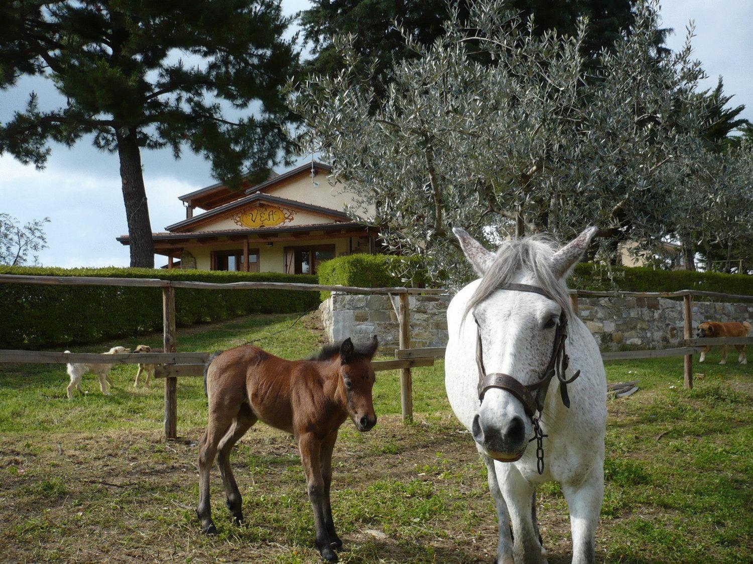 Agriturismo Villa Vea Bellosguardo Exteriör bild